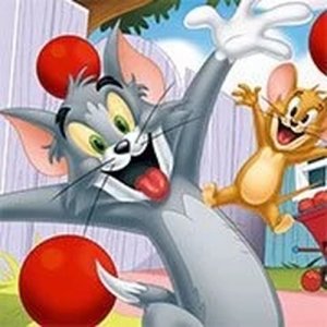 Lawn Toss Challenge: Cat and Mouse