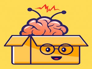 Smart Mind Puzzle Challenge