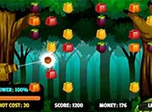 Fruity Cannon Puzzle