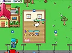 Gentle Animal Haven Idle